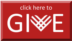 Nonprofits in need of donations this Giving Tuesday.